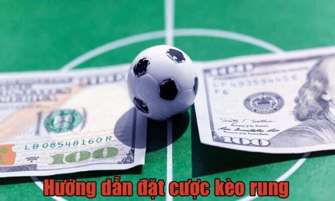 Kèo Rung Trong Cá Cược Là Gì?